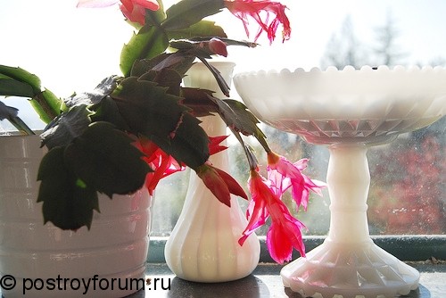 Белые, блестящие вазы с цветами